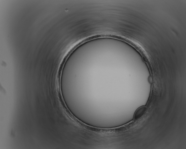 X0000091100887200708061019