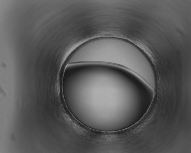 X0000091100888200708061019
