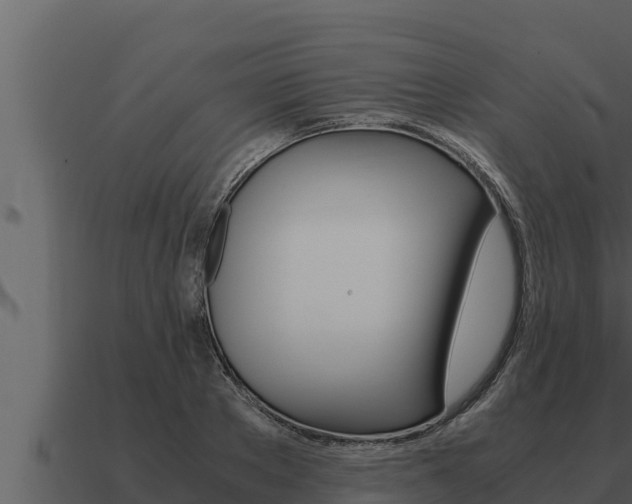 X0000091100889200708061019