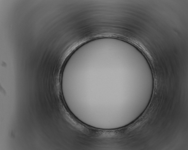 X0000091100890200708061019