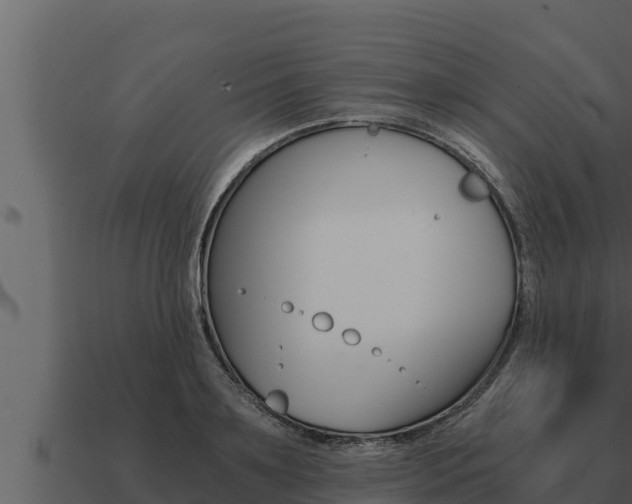 X0000091100891200708061019