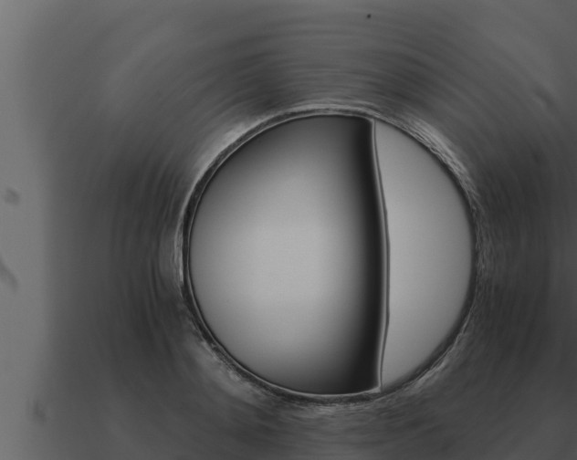 X0000091100892200708061019