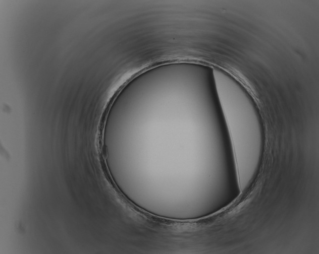 X0000091100893200708061019