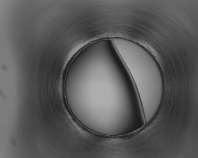 X0000091100894200708061019