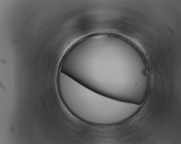 X0000091100895200708061019