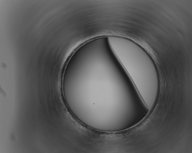X0000091100896200708061019