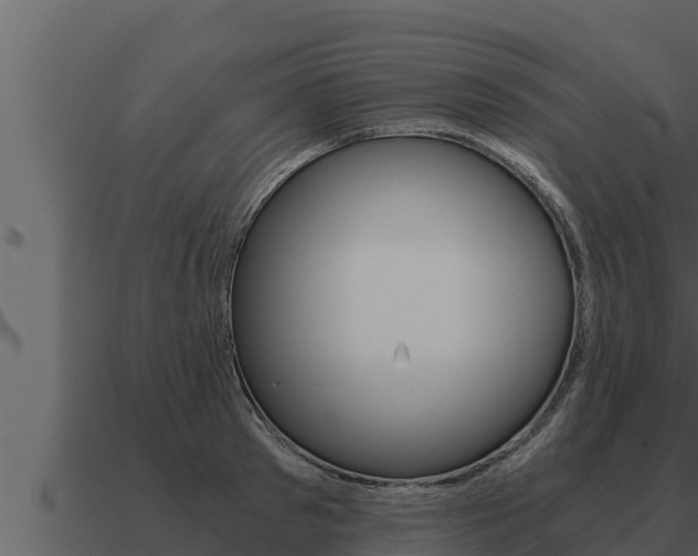 X0000091100897200708061019