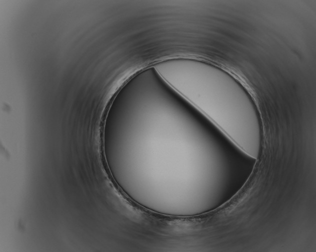 X0000091100898200708061019