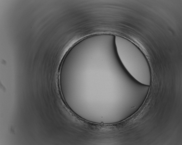 X0000091100899200708061019