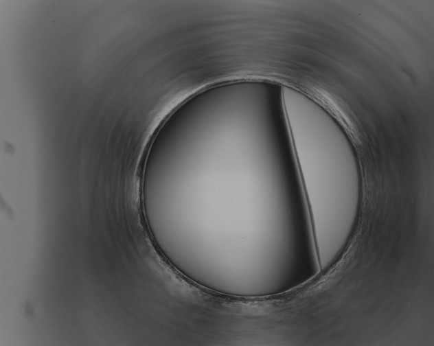 X0000091100900200708061019