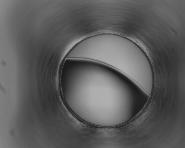 X0000091100902200708061019