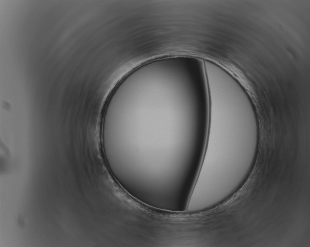 X0000091100904200708061019