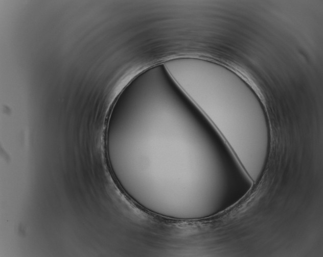 X0000091100906200708061019