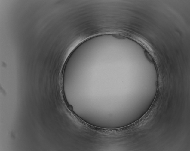 X0000091100907200708061019