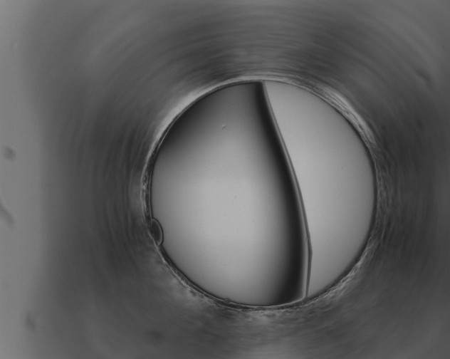 X0000091100908200708061019