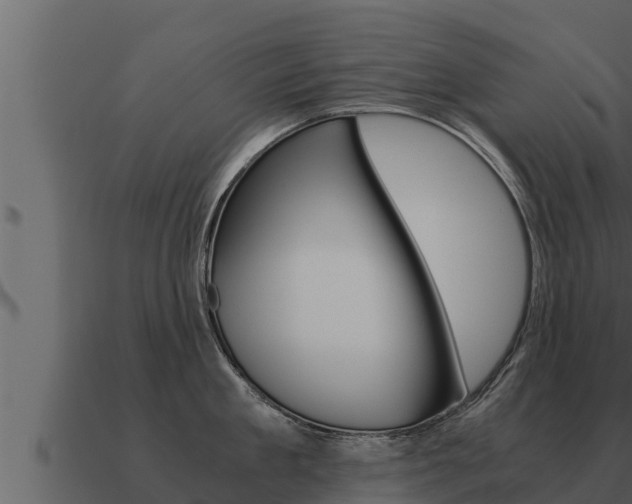 X0000091100909200708061019