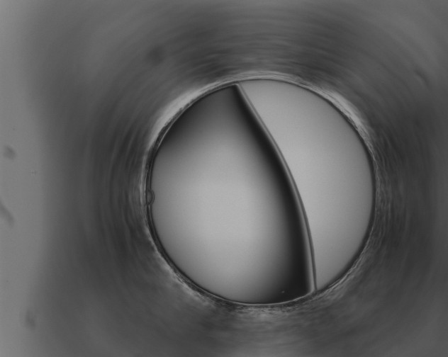 X0000091100910200708061019