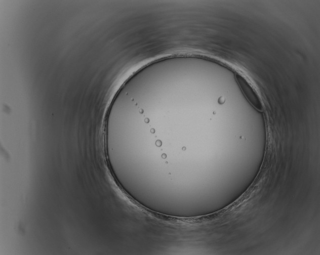 X0000091100911200708061019