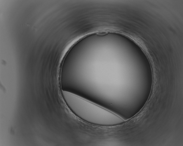 X0000091100912200708061019