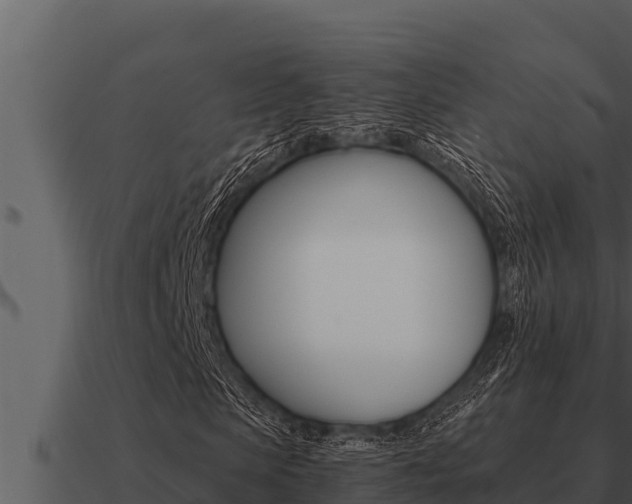 X0000091100913200708061018