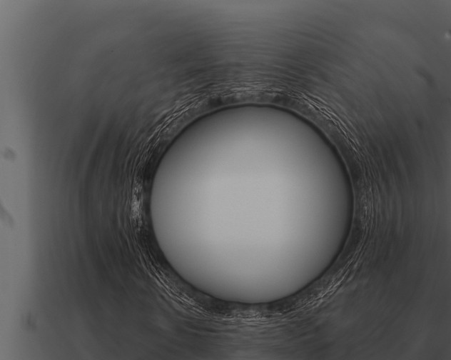 X0000091100914200708061018