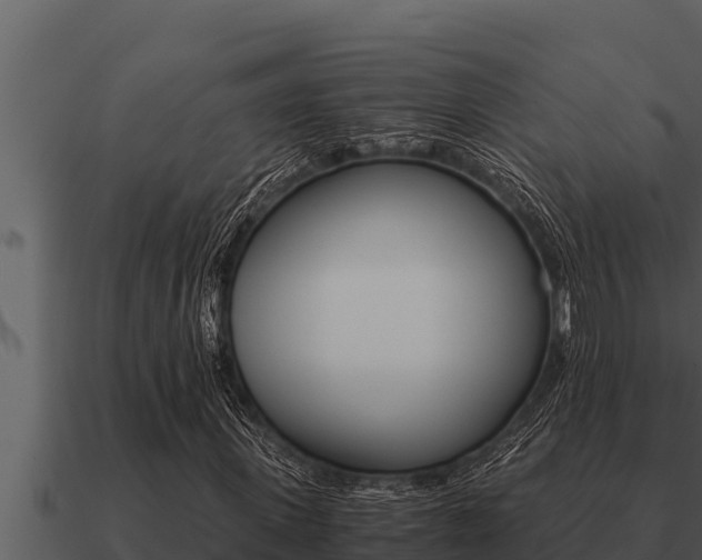 X0000091100915200708061018