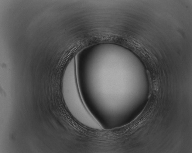 X0000091100916200708061018