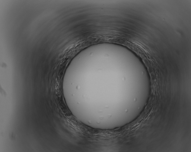 X0000091100917200708061018