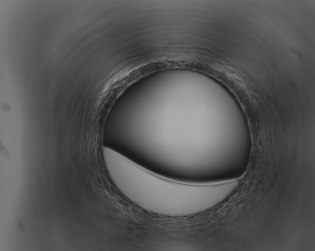 X0000091100920200708061018