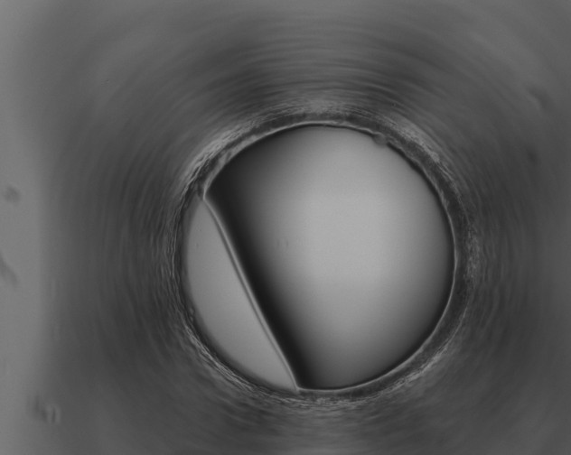 X0000091100922200708061018