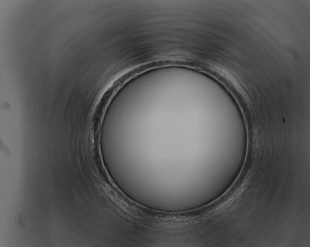 X0000091100923200708061018