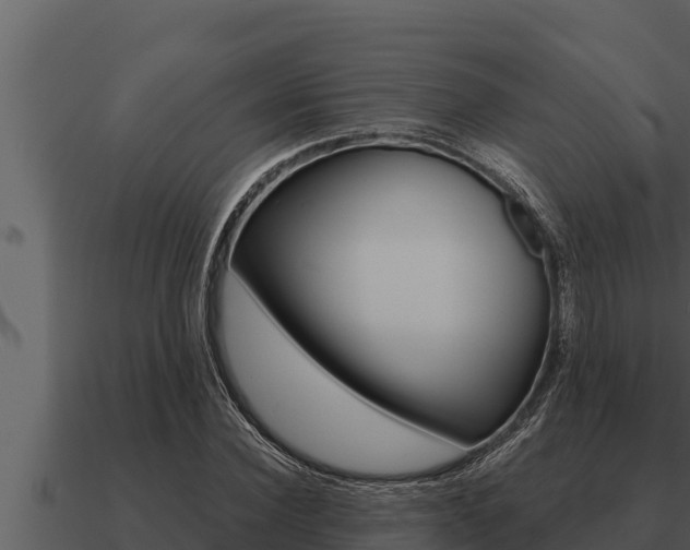 X0000091100924200708061018