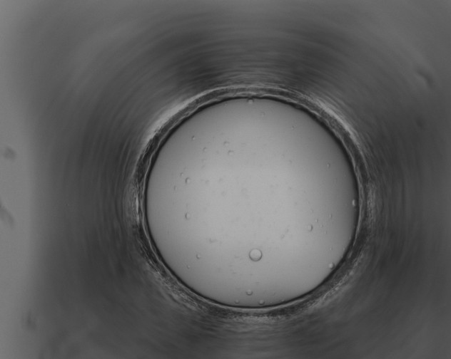X0000091100925200708061019