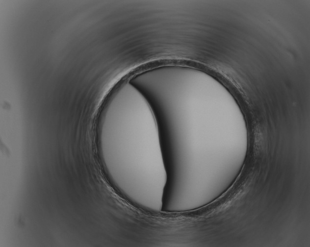 X0000091100926200708061019