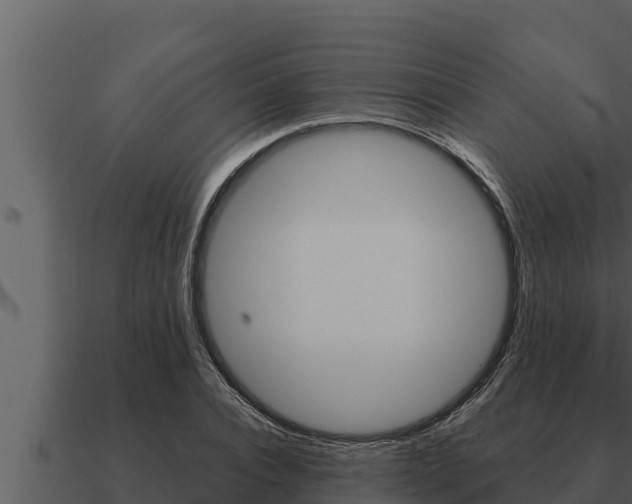 X0000091100928200708061019