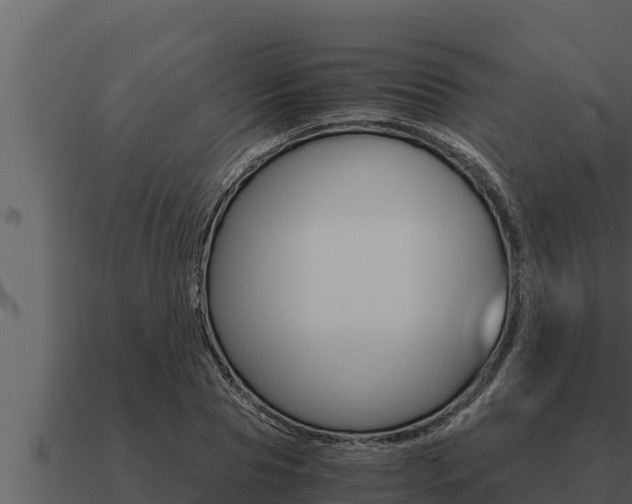 X0000091100929200708061019