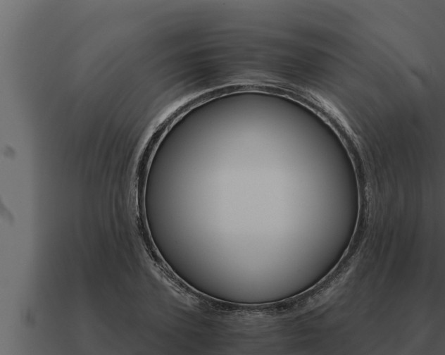 X0000091100931200708061019