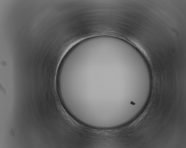 X0000091100932200708061019