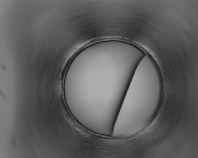 X0000091100933200708061019