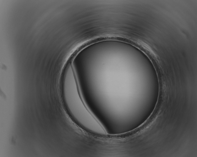 X0000091100934200708061019