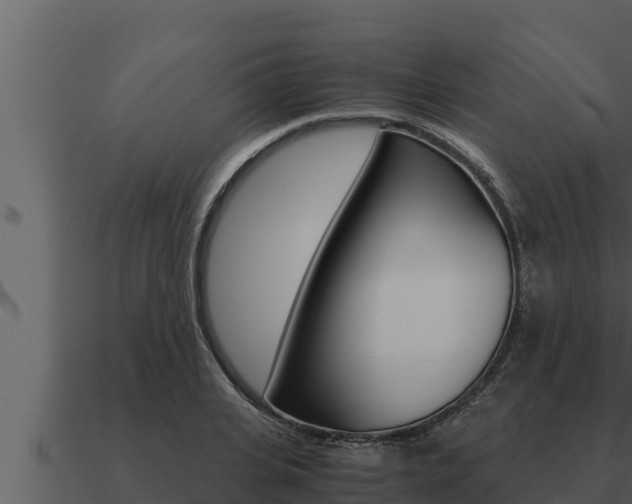 X0000091100935200708061019