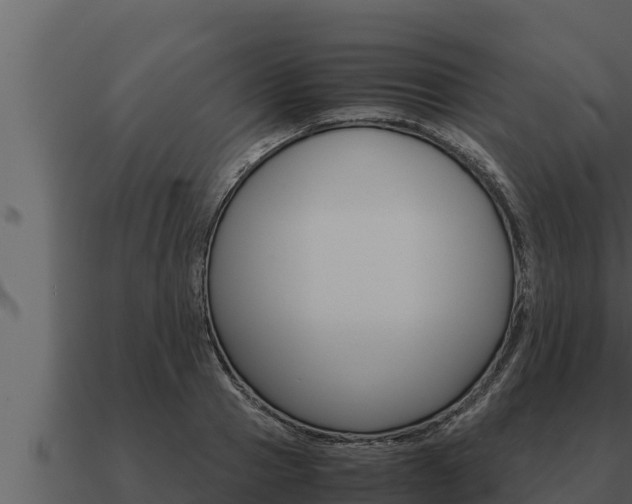 X0000091100937200708061019