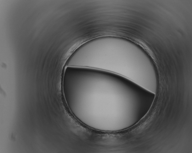 X0000091100938200708061019
