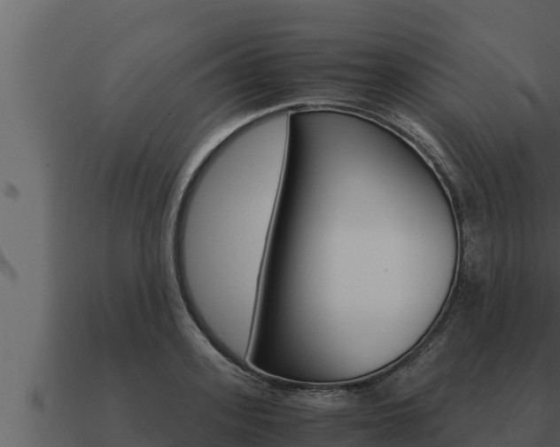 X0000091100939200708061019
