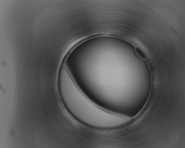X0000091100940200708061019