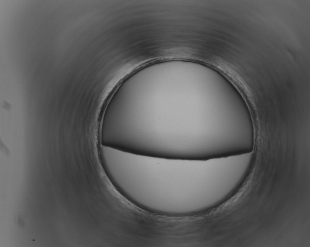 X0000091100941200708061019