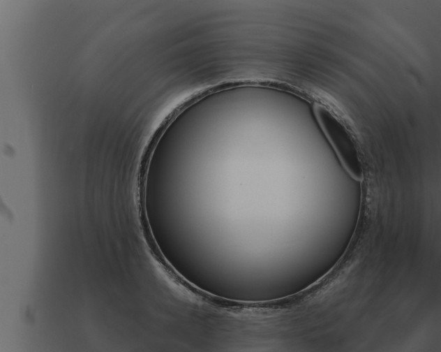 X0000091100942200708061019
