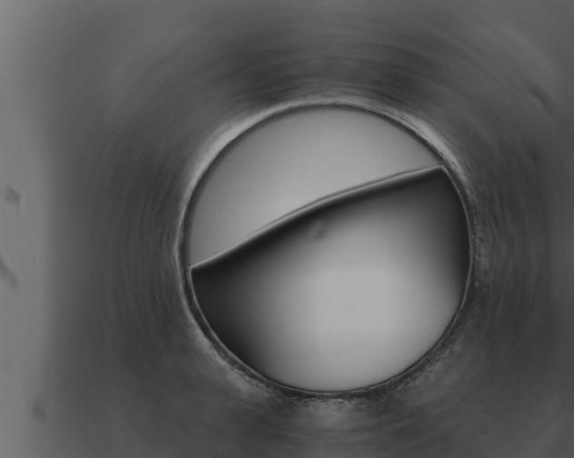 X0000091100943200708061019