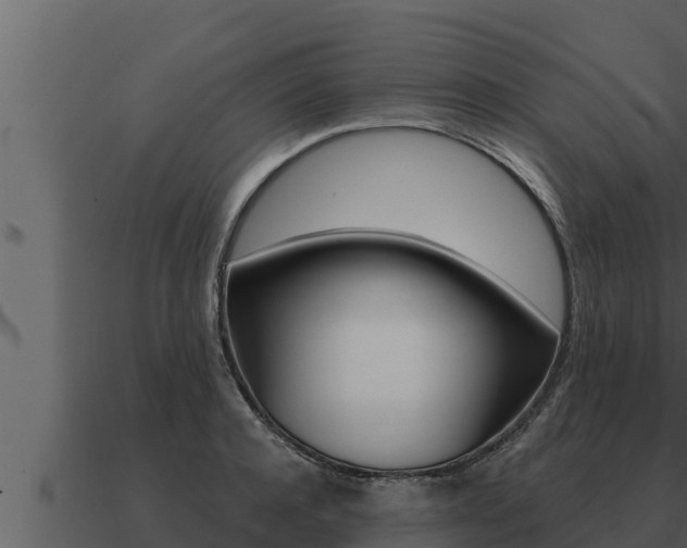 X0000091100944200708061019