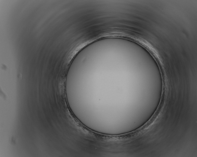 X0000091100945200708061019